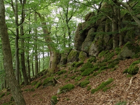 Felsformation im Nationalpark Kellerwald